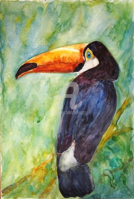 B.Rossitto - Toucan