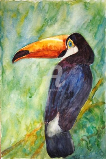 Toucan