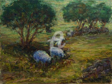 Pastoral Scene with Sheep